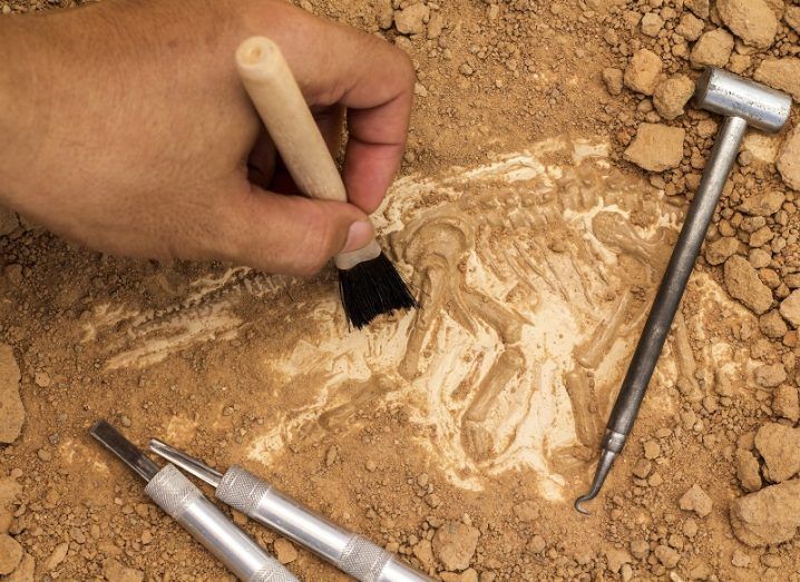 Hand with a brush dusting off fossilised remains of a dinosaur with a number of digging implements beside it.