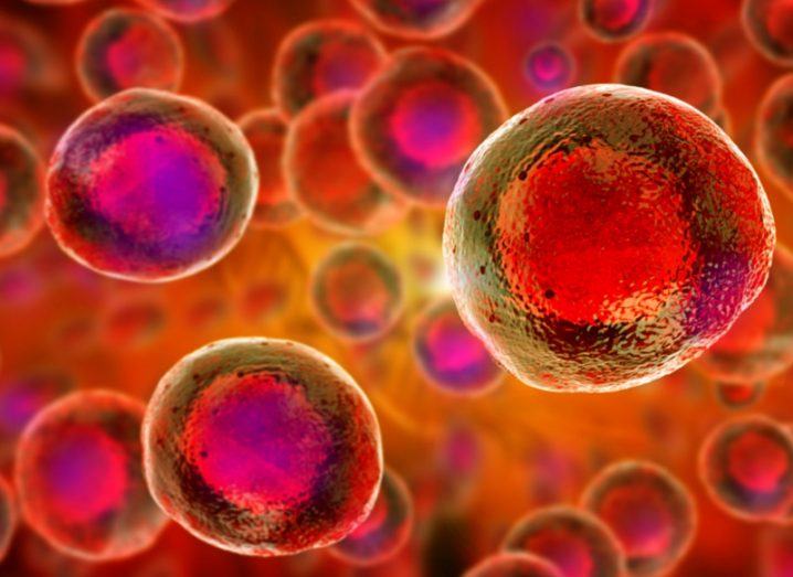 3D illustration of many stem cells coloured red, orange and purple.