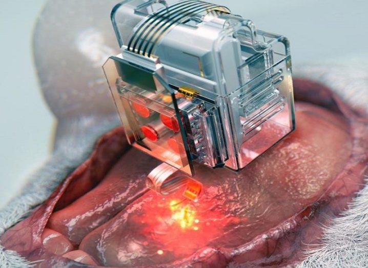 Illustration of the brain implant device connected to a mouse's brain through an opening in its skull.