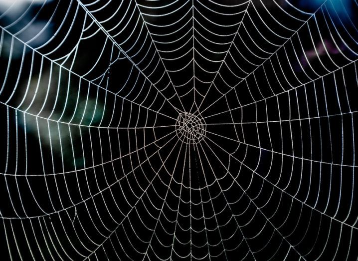 A large spider web glinting with morning dew against a dark background.
