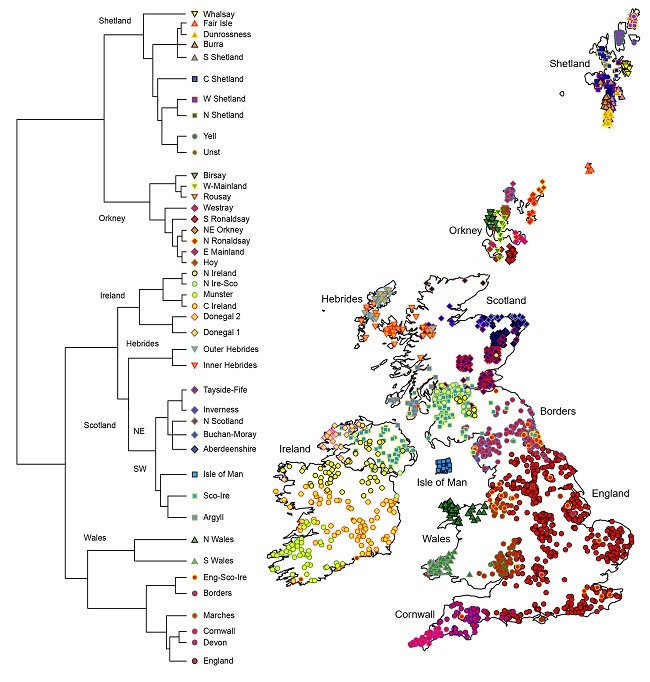 Genetic map of the UK and Ireland showing distinct genetic clusters.
