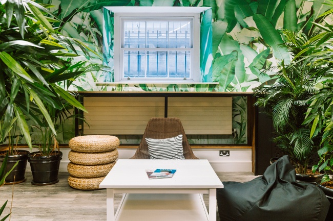 The camera is looking into a bright room with a window looking out to Pearse Street, a small white table, assorted seats around it and plants.