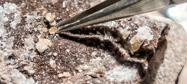 Tiny crystals create by microbial life being picked up by tweezers. 