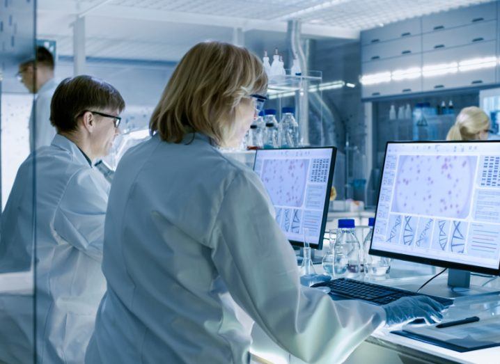 Female and male scientists working on their computers in big, modern laboratory. In the background there are various shelves with beakers and chemicals.