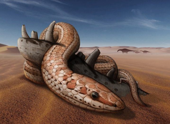 Illustration of the brown Najash snake with tiny hind legs coiled around a piece of wood in a desert.