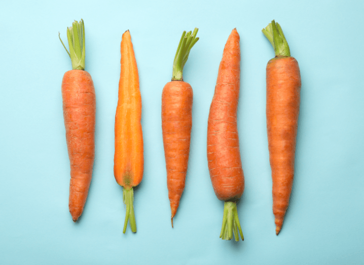 Five differently shaped carrots in a row on a light blue background.
