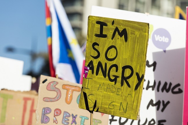 Anti-Brexit poster at a protest that says: "I'm so angry I made a sign."