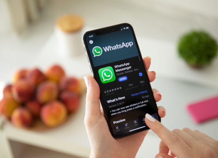 A phone in someone’s hand showing the WhatsApp symbol. The background is out of focus with fruit and a plant on a table.