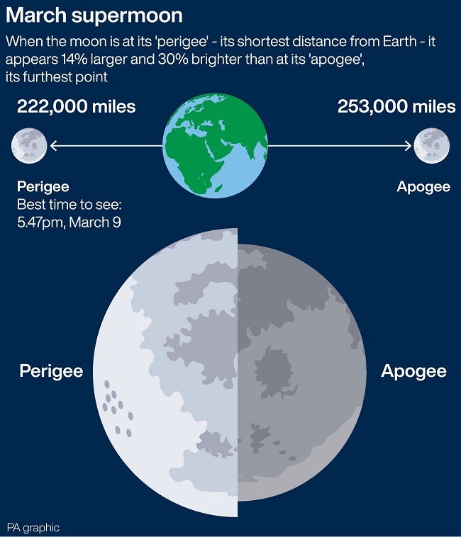 Infographic showing the moon and Earth during a worm moon.