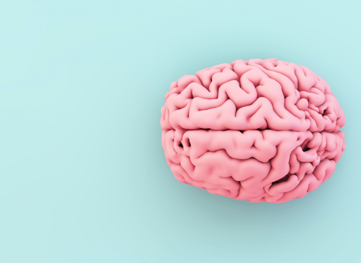 A pink brain on a blue background.