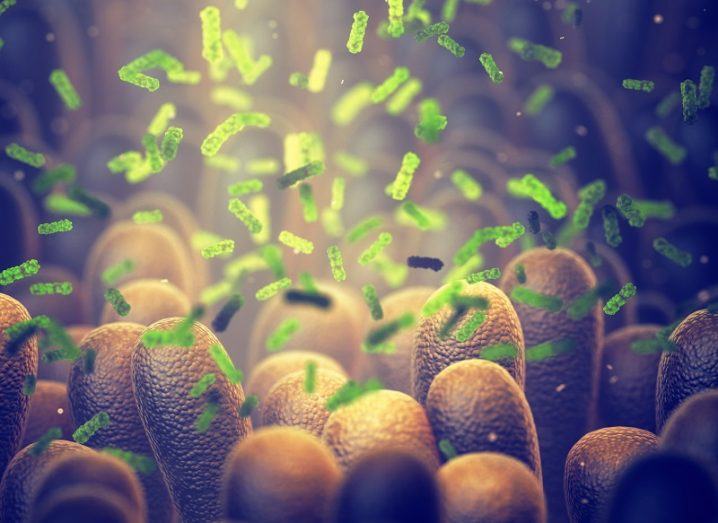Render of green-coloured bacteria in the gut microbiome.