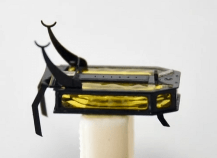 The RoBeetle coloured yellow and black on a small, white pedestal.