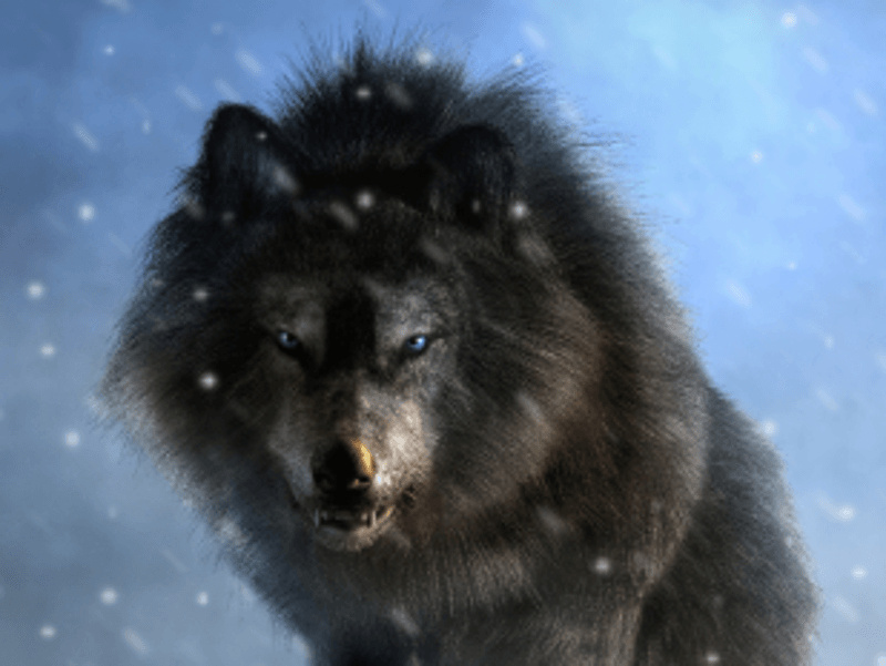 Ancient DNA sheds light on Game of Thrones' dire wolves.