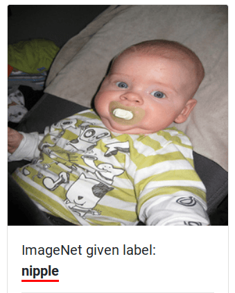A screenshot of an image of a baby with the incorrect label of nipple.