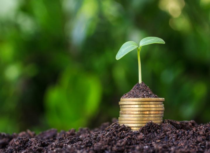 Stacked coins placed on soil with a seedling growing on top.