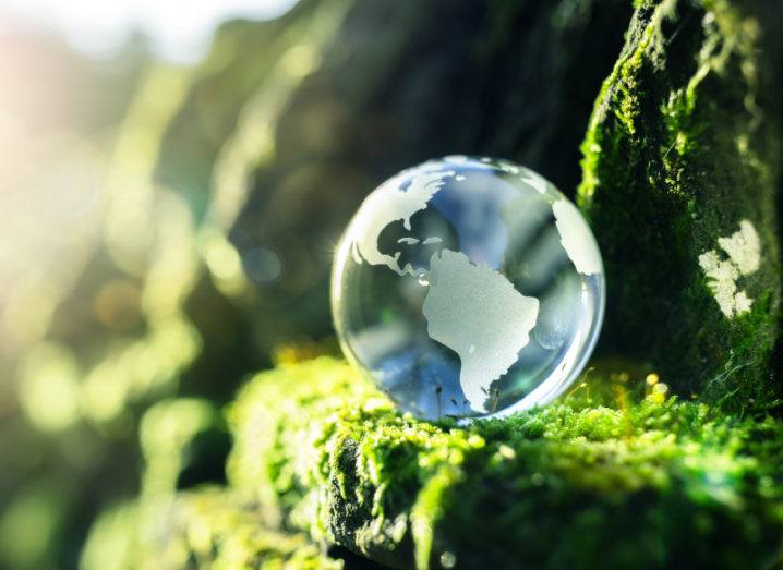 A small glass globe is sitting on a mossy rock in the sunshine.