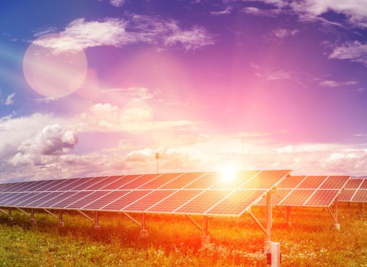 Solar panels at a solar energy plant on a large area of grass under a blue sky with sun flare hitting the surface.