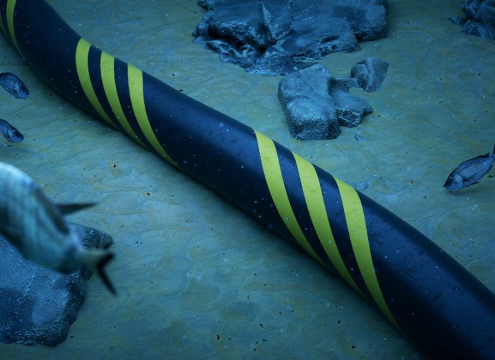 A close up of a black and yellow subsea cable on the ocean floor with fish swimming around it.