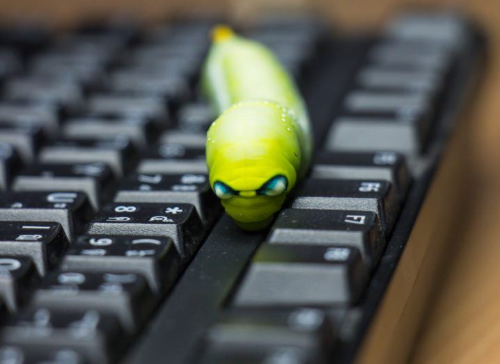 A lurid green worm creeps between the keys of a computer keyboard.