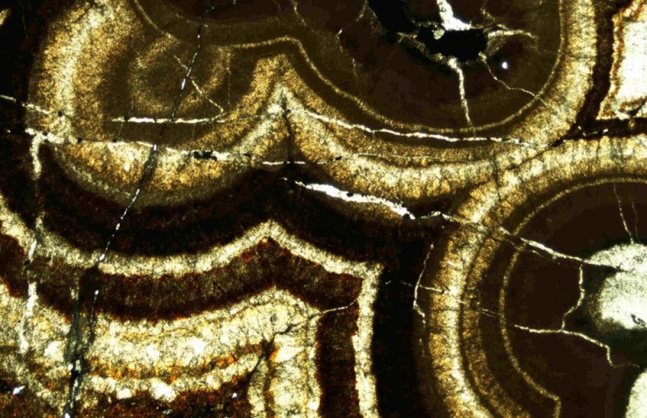 An image of colloform sphalerite, showing gold and black patterns.
