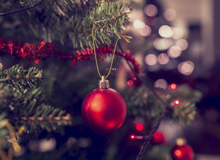 A red bauble hangs from a Christmas tree.