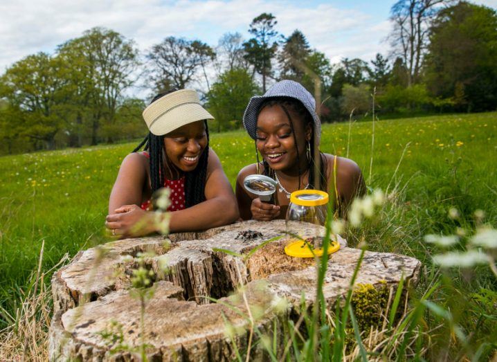 Two young female students lean on a tree stump in the middle of a large field. One is holding a magnifying glass and both are looking at a large black spider on the stump, while another spider sits in a jar beside them.