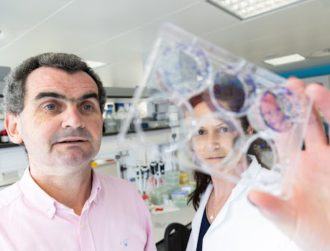 Cork researchers’ new chemo method could revolutionise cancer treatment