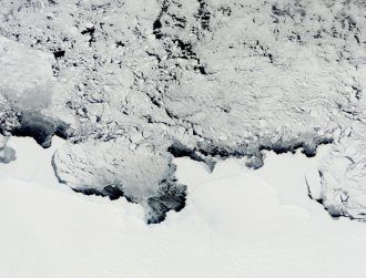 The Conger ice shelf has collapsed in Antarctica amid record temperatures
