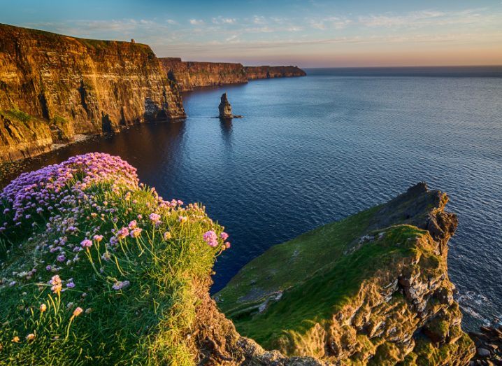 A landscape images showing Ireland's cliffs, plants and ocean.