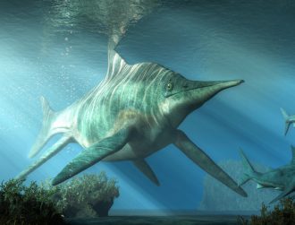Giant marine reptile fossils found high in the Swiss Alps