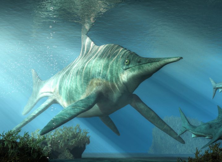 Illustration of the massive marine reptile called the ichthyosaur, swimming next to other sea creatures to the side.