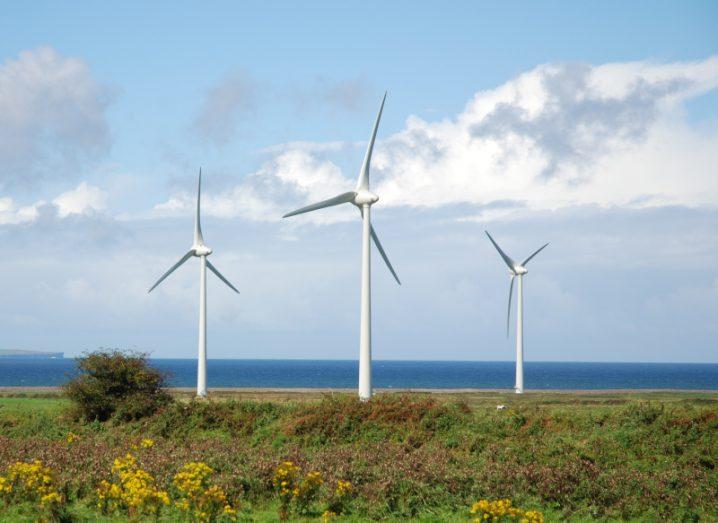 Three wind turbines surrounded by grassy plains, with plants in the foreground of the image. The sea is in the background and there is a blue sky overhead with clouds in the distance.