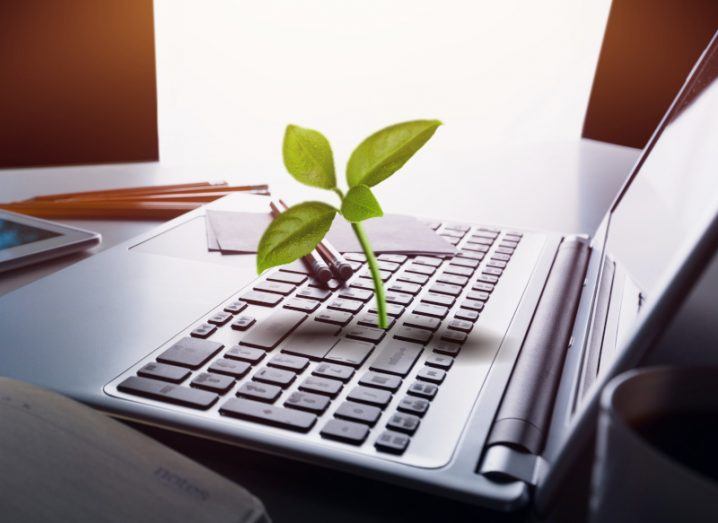 A laptop keyboard with a plant growing from the middle of it, with light in the background. The laptop is on a table that has pencils and notes laying on it.