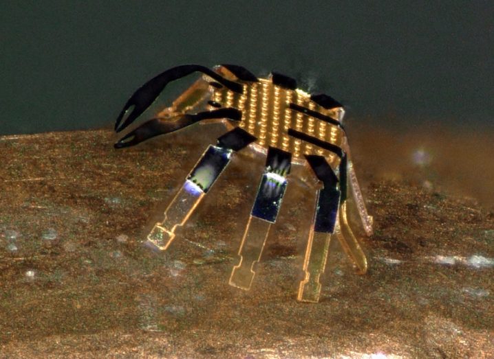 Photograph of a tiny robot shaped like a crab, that is walking on the side of a penny.