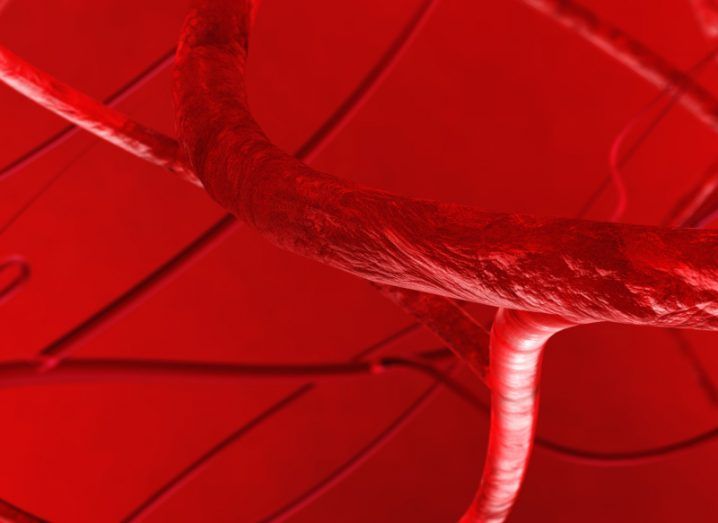 Illustration of a zoomed-in red vein.