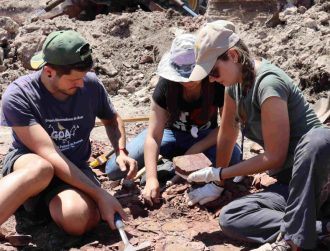 260m-year-old fossils discovered in a lost excavation site in Brazil