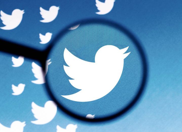 The Twitter logo under a magnifying glass. Behind it is more Twitter logos against a blue background.