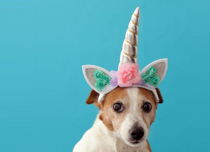 A dog wearing a headband with a unicorn horn on it.
