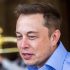 Court halts Musk trial to buy him time to find cash for Twitter deal
