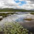 Using data to refine the knowledge of Ireland’s peatlands