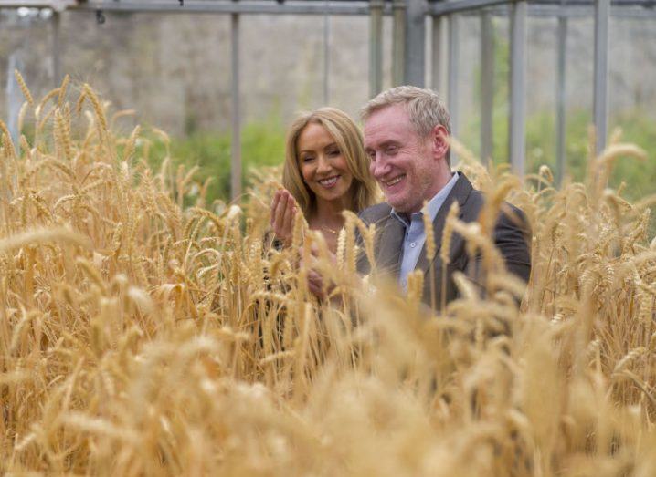 CropBiome CEO Sean Daly and HBAN consultant Niamh Sterling in a crop field looking at crops.
