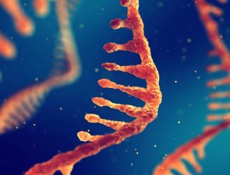 UCD scientists use CRISPR gene-editing tool to find lung cancer therapies