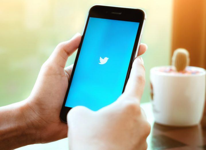 Two hands holding a mobile phone with the Twitter logo on the screen. There is a small cactus in a plant and a window in the background.