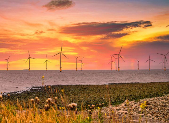Offshore wind turbines in the distance, with a sunset sky in the background and some grass in the foreground of the image.