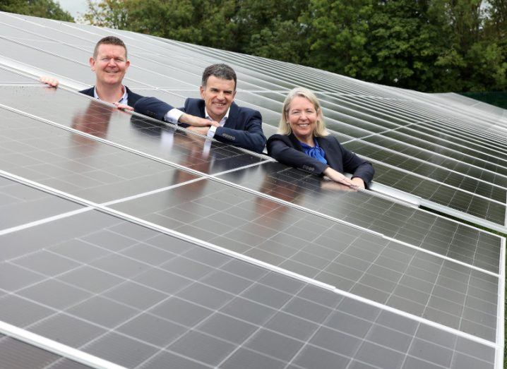 Three people pop their heads out from a gap in between large solar panels at the MSD site in Ireland. Trees can be seen in the background.