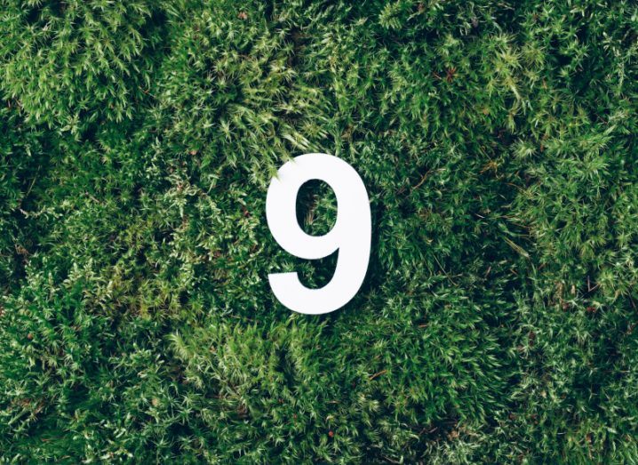The number nine in white placed on grass on the ground.