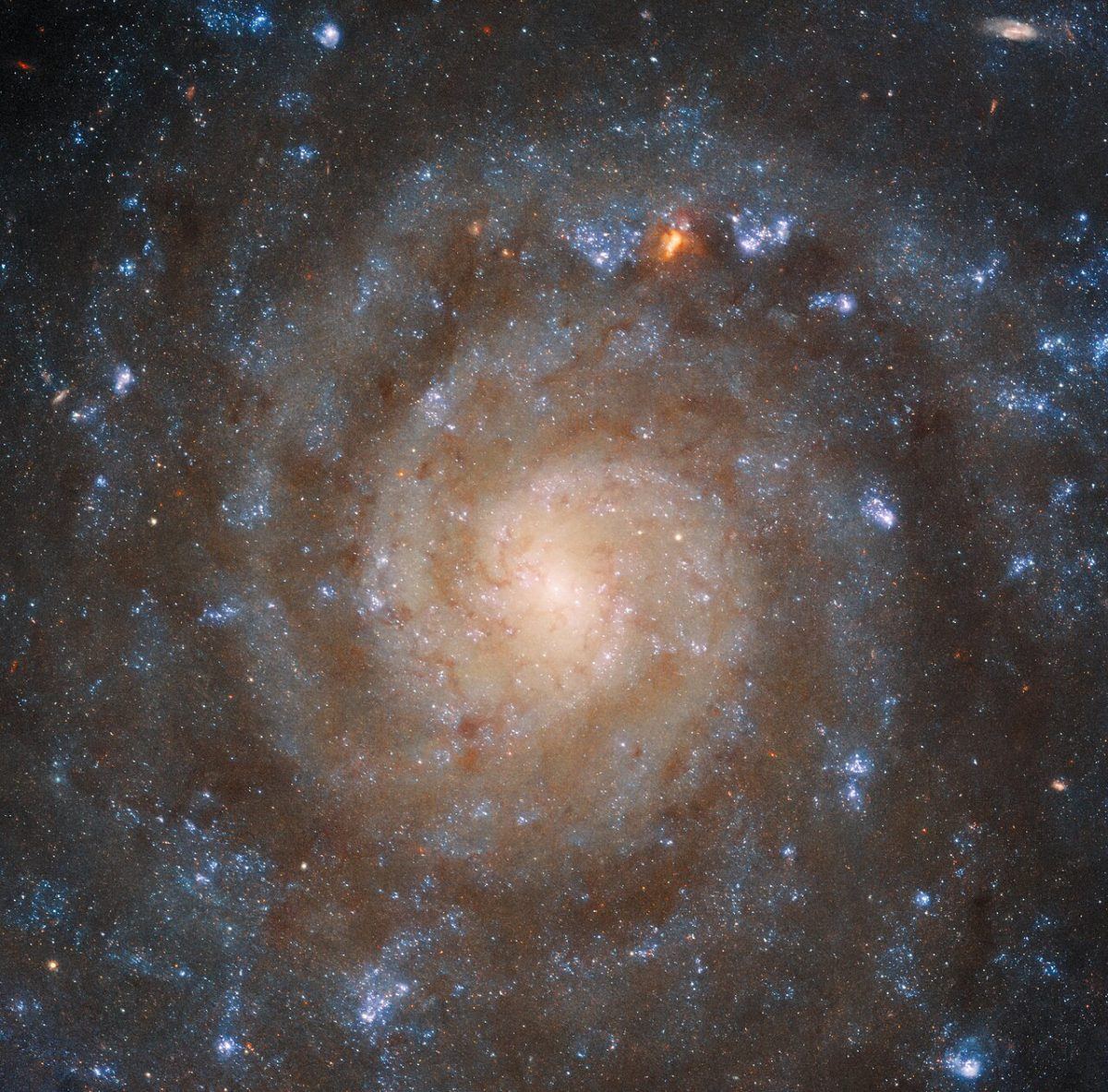 An image of a spiral galaxy, with a bright center and dusty spiral arms visible in the photo. Taken by the Hubble Space Telescope.