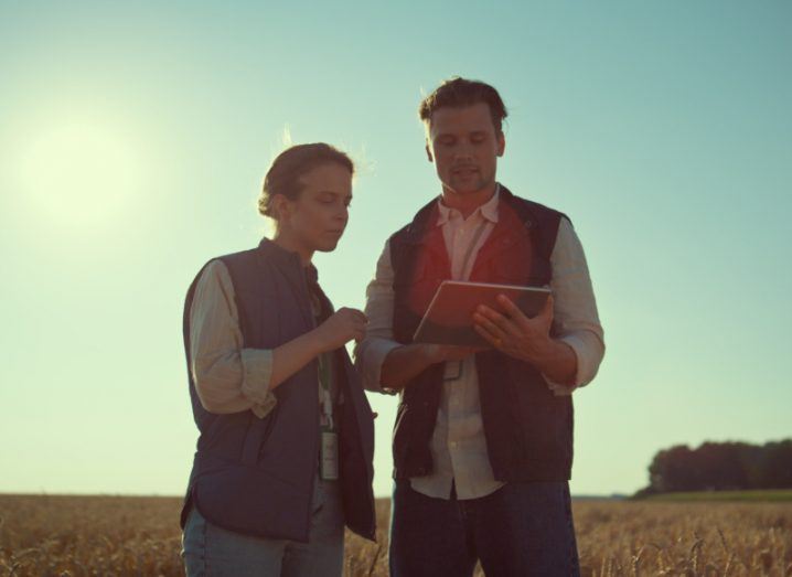 Two agritech workers standing in a field looking at a device.