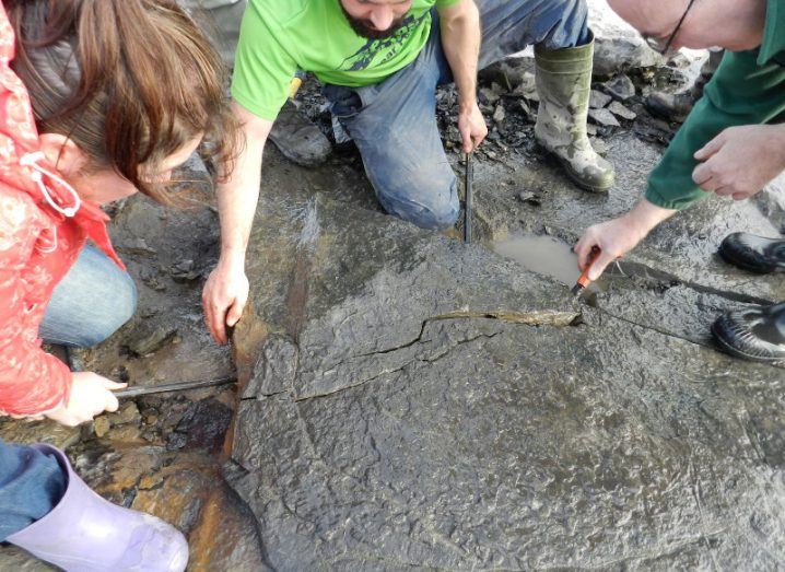 Scientists removing fossil sea urchins at Hook Head.