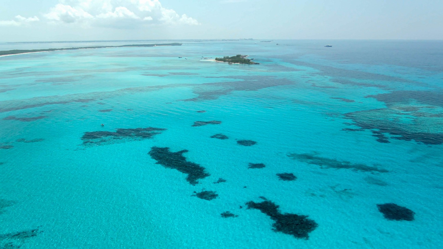 An aerial view of the seagrass ecosystem in The Bahamas.
